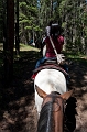 HorsebackRiding003
