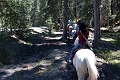 HorsebackRiding008