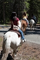 HorsebackRiding011
