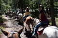 HorsebackRiding017