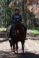 HorsebackRiding031