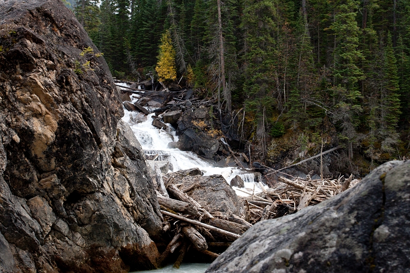 EmeraldLake082.jpg - Meeting of the Waters