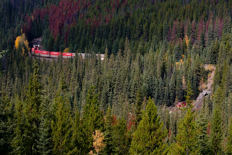 EmeraldLake093.jpg - Lower Spiral Tunnel: train entering upper entrance and exiting lower entrance