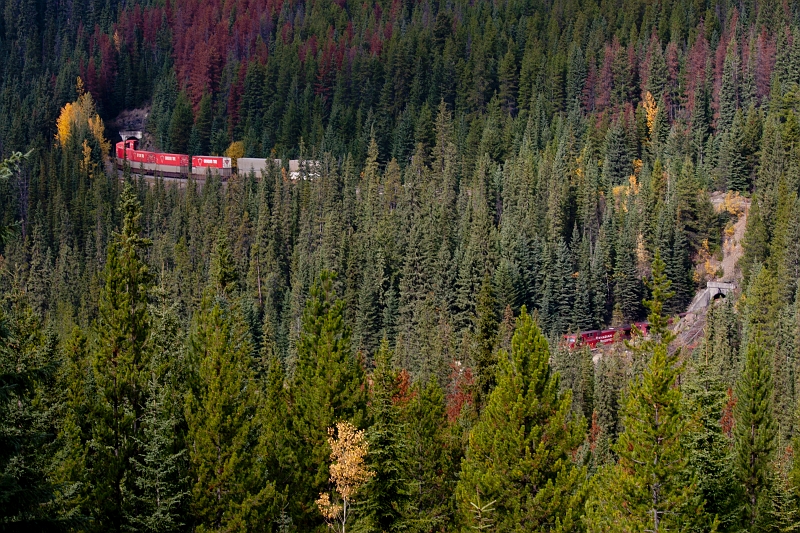 EmeraldLake094.jpg - Lower Spiral Tunnel: train entering upper entrance and exiting lower entrance
