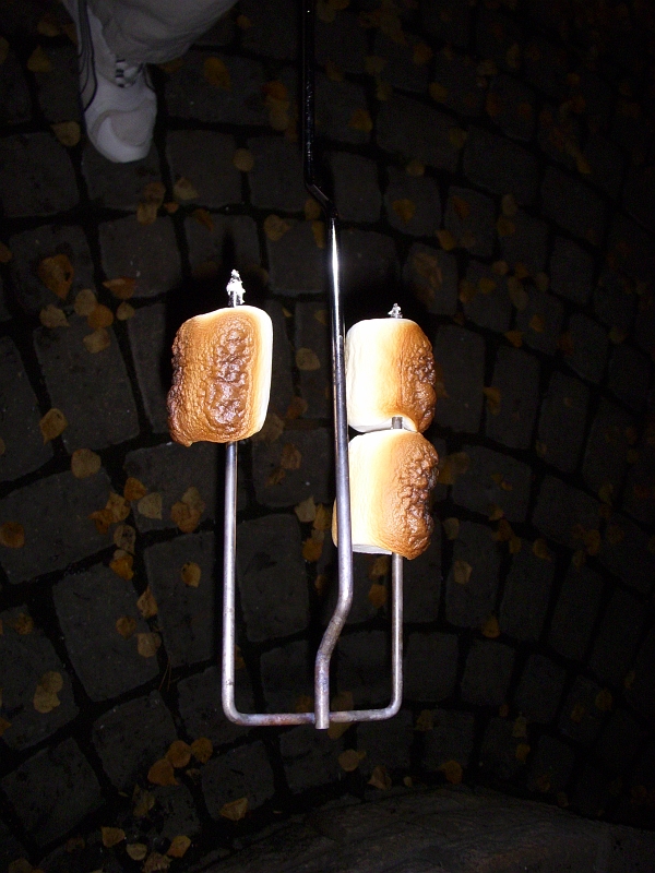 EmeraldLake_ap001.jpg - Roasting Marshmallows - Attempt #1