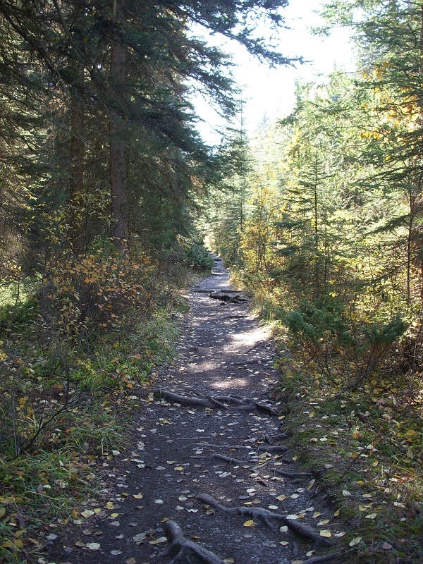 EmeraldLake_ap016.jpg - A hike to Wapta Falls