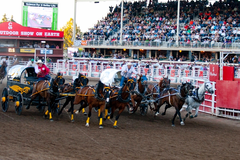 Stampede051.jpg