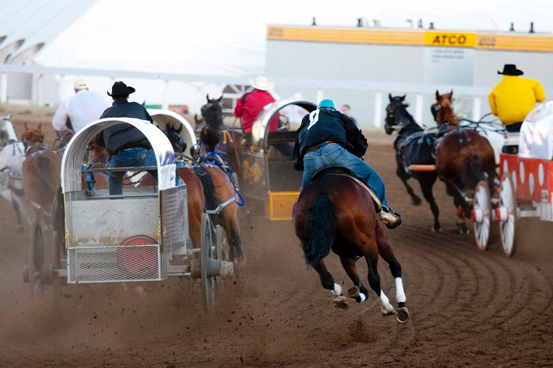 Stampede052.jpg
