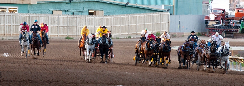 Stampede053.jpg