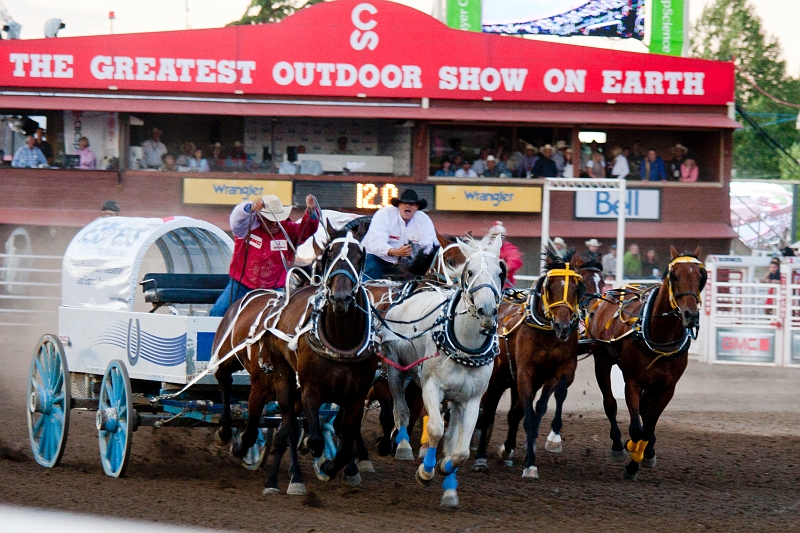 Stampede057.jpg