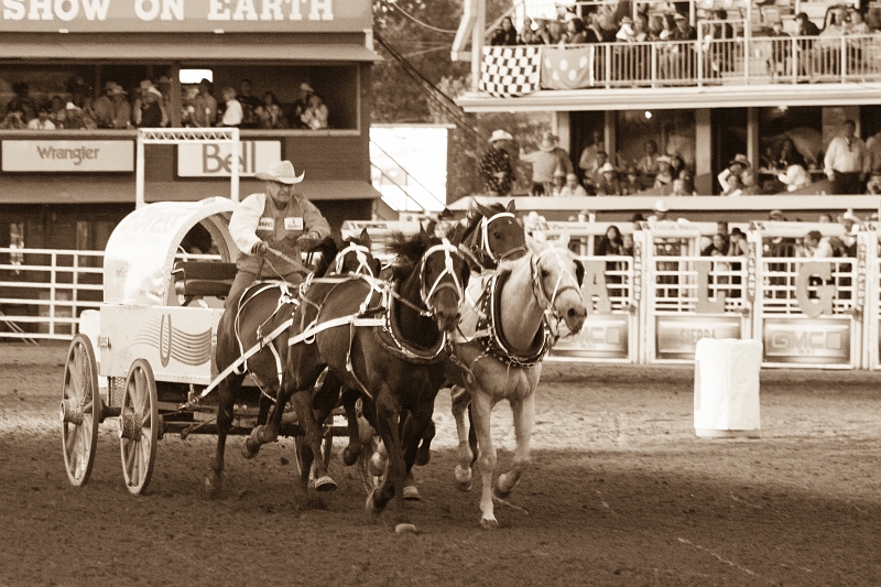 Stampede058.jpg
