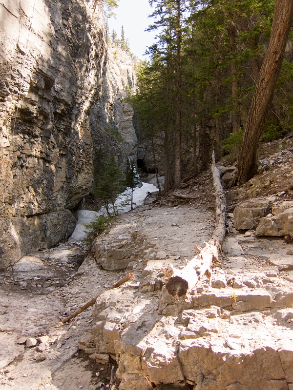 Canmore013_ap.jpg