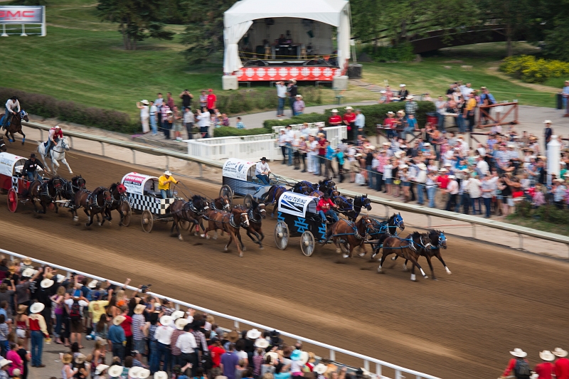 Stampede088.jpg