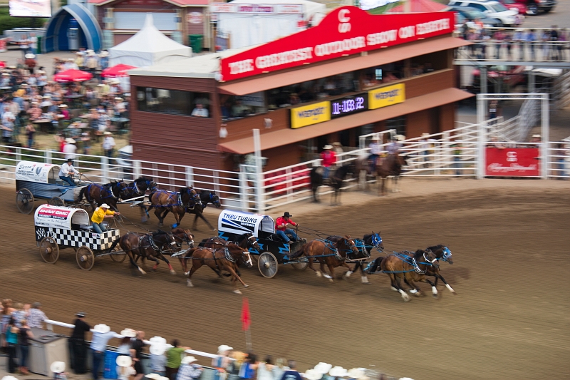 Stampede089.jpg