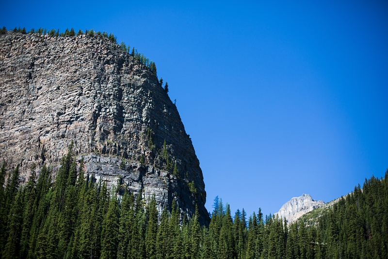 BigBeehive007.jpg - Big Beehive