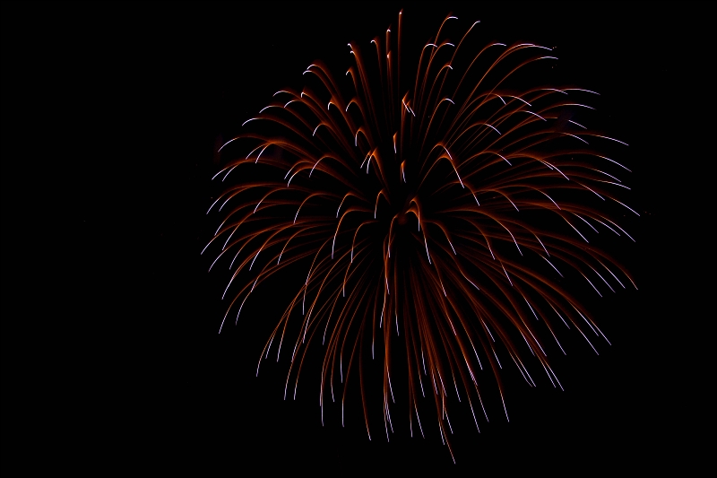 Globalfest019.jpg