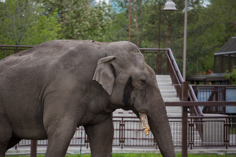 CalgaryZoo055.jpg