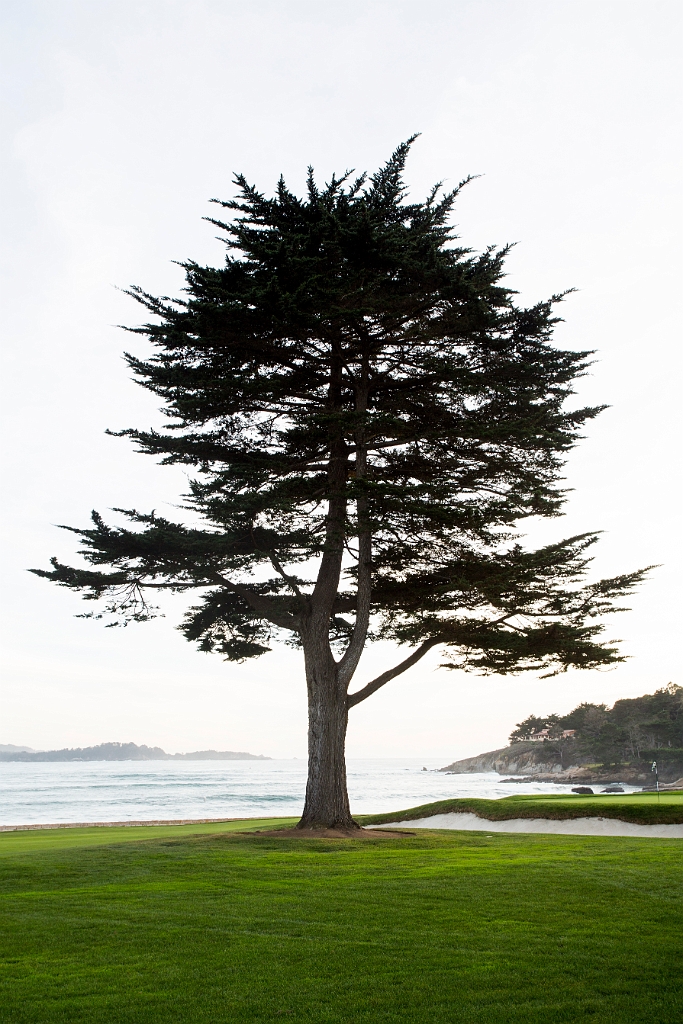 PebbleBeach058.jpg