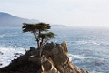 PebbleBeach048