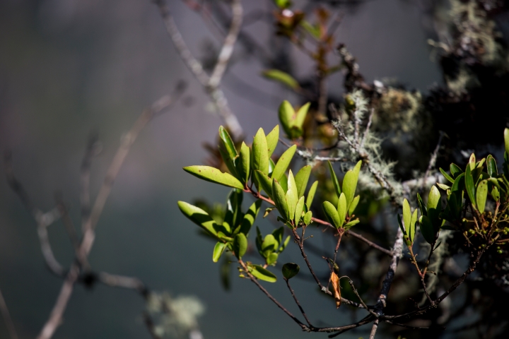 MachuPicchu285.jpg - Machu Picchu