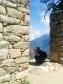 MachuPicchu298a