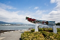 Vancouver261