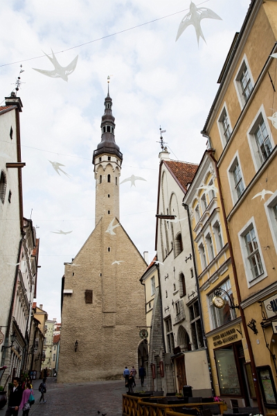 Tallinn011.jpg - Town Hall
