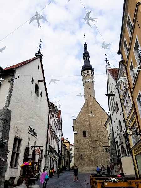 Tallinn015.jpg - Town Hall