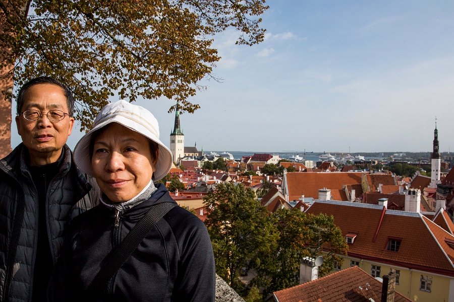 Tallinn066.jpg - Viewing Platforms