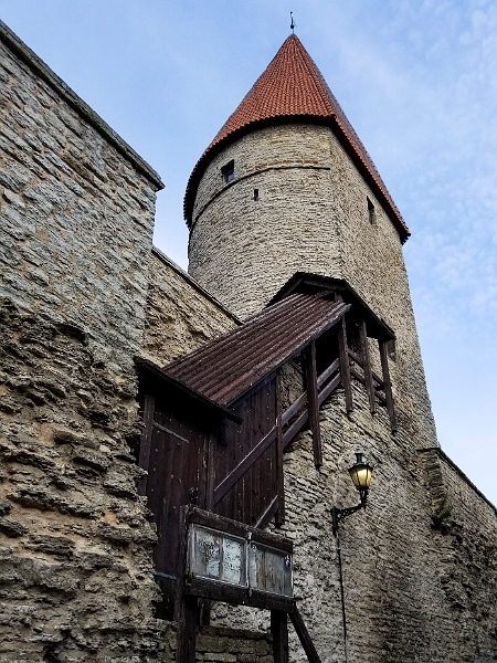 Tallinn114.jpg - Plate Tower