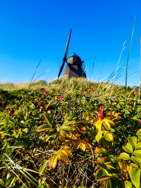 Skagen061.jpg - Skagen Windmill