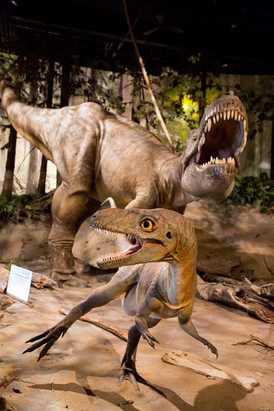 Drumheller003.jpg