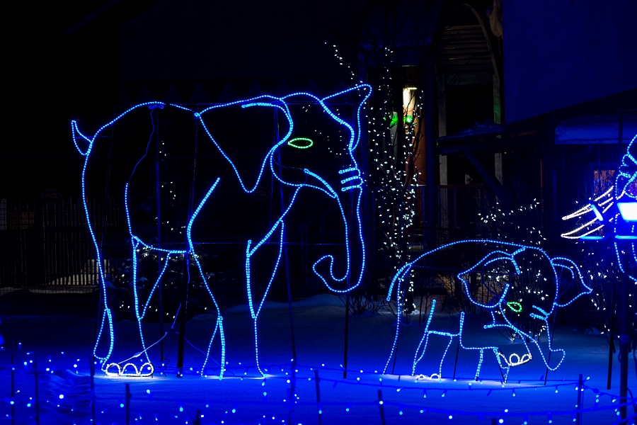 ZooLights005.jpg