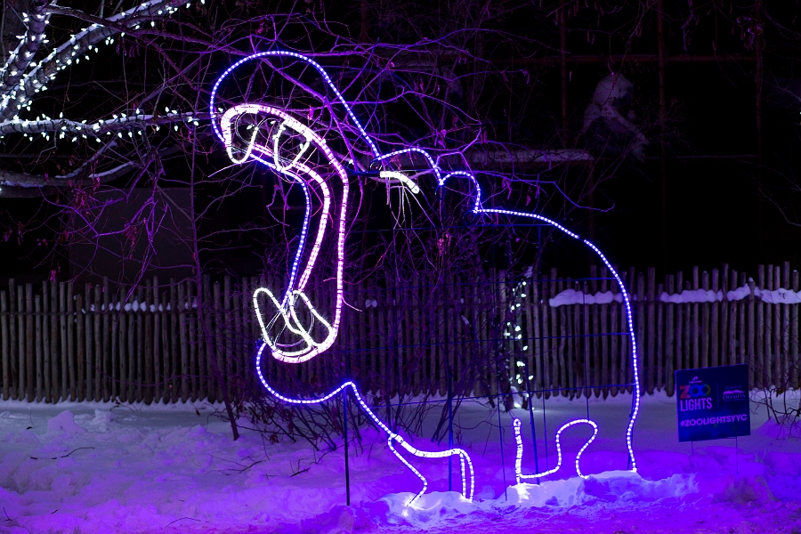 ZooLights010.jpg