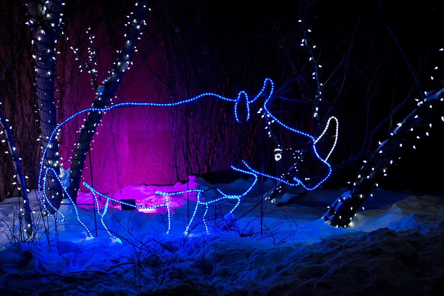 ZooLights012.jpg