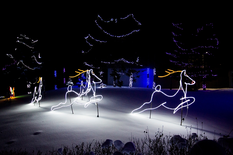 ZooLights036.jpg