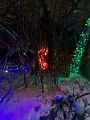 ZooLights031