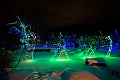 ZooLights032