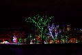 ZooLights035