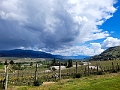 Osoyoos146