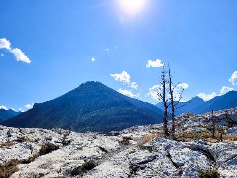 Waterton075.jpg