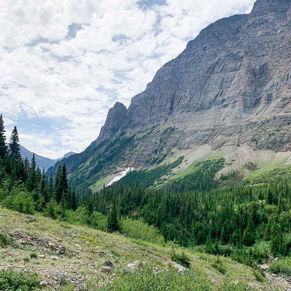 Waterton141.jpg