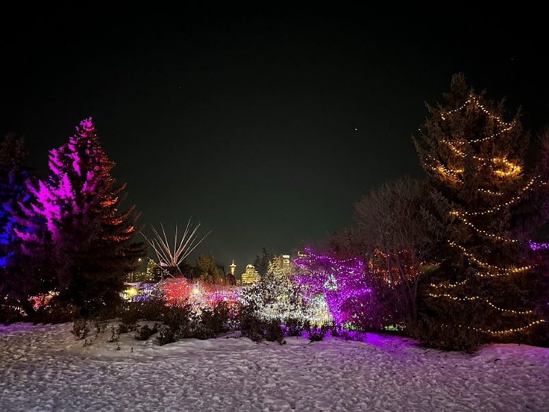 ZooLights008.jpg