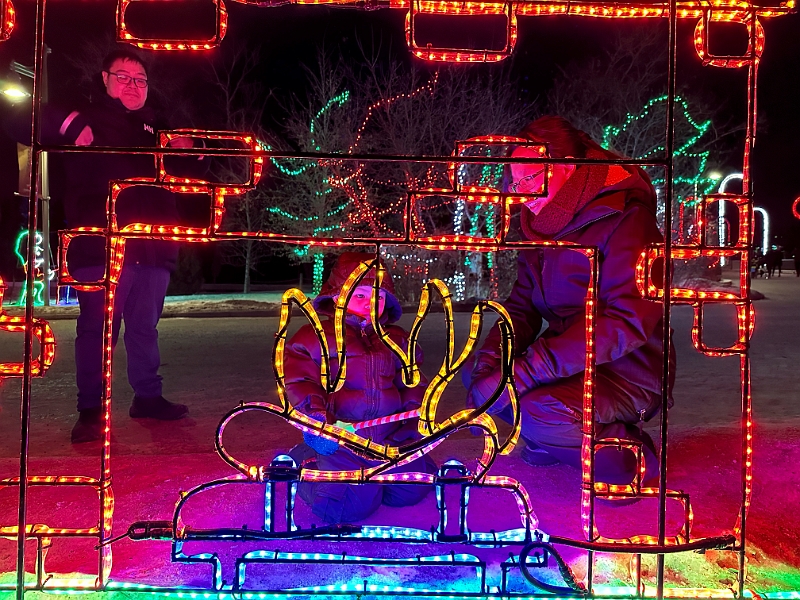 ZooLights012.jpg