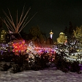 ZooLights009