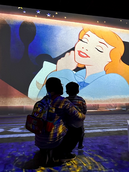 ImmersiveDisney018.jpg